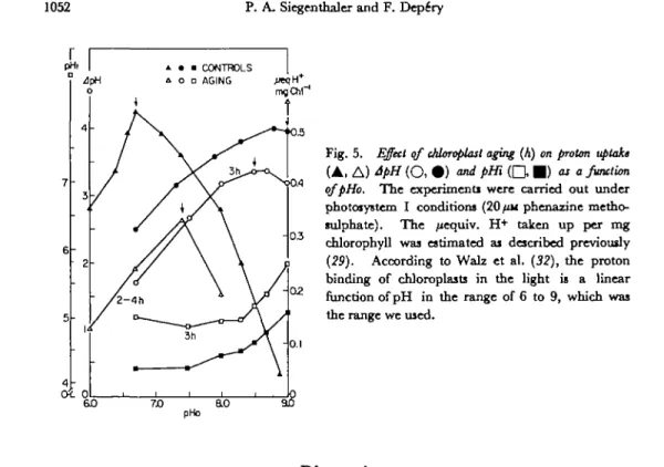 Fig. 5. Effect of Moroplast aging (A) on proton uptake ( A ,  A ) ApH  ( O ,  • ) and pHi  ( Q  • ) as a function qfpHo