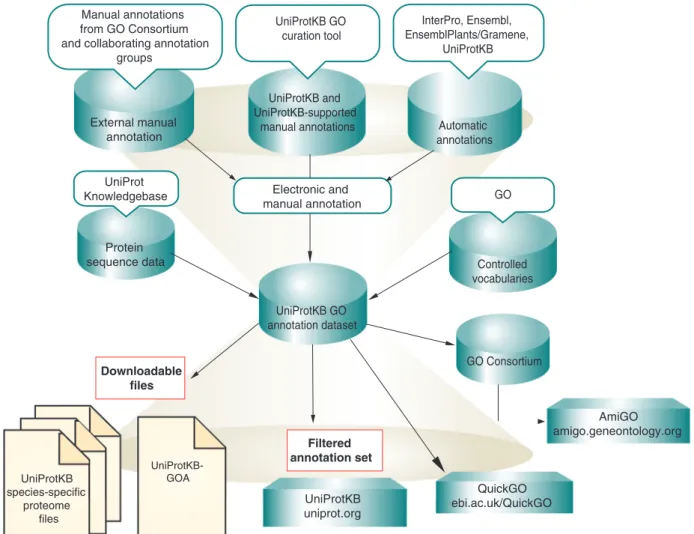 Figure 1 summarizes the data ﬂows into the UniProt GO annotation program as well as the exported GO  an-notation products.