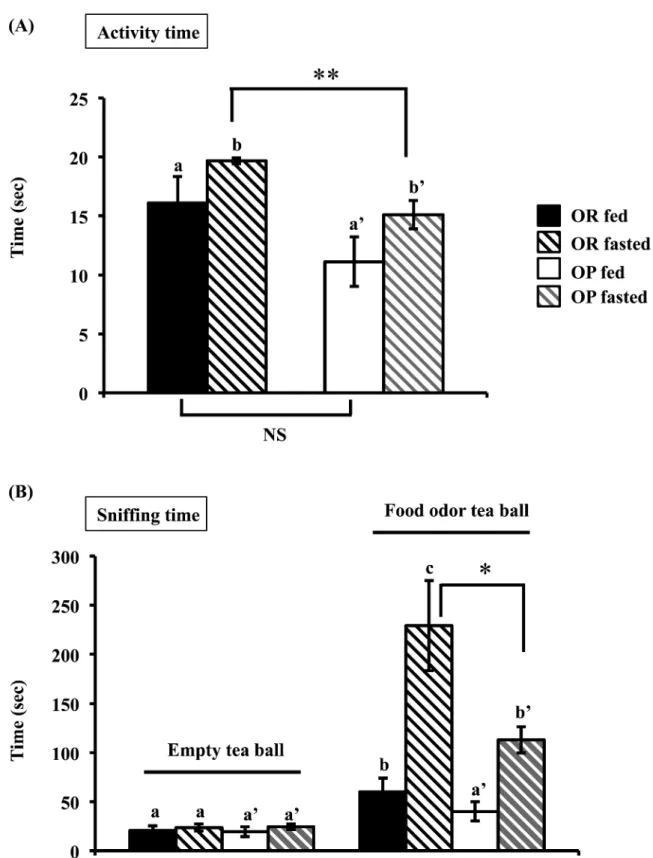 Figure 3.  Effects of the introduction of an empty or food odor tea ball in rat’s environment on olfactory driven behaviors in fed or 24 h fasted OR and OP rats