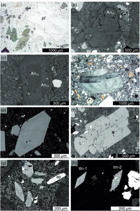 Fig. 8. Photomicrographs of samples from the porphyries. (a) Amphibole and plagioclase phenocrysts (plane-polarized light)