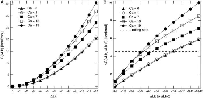 Figure 5A shows the values of free energy of DNA super- super-coiling for CatCs with increasing catenation numbers (proﬁles displaced vertically) and increasing level of  neg-ative supercoiling