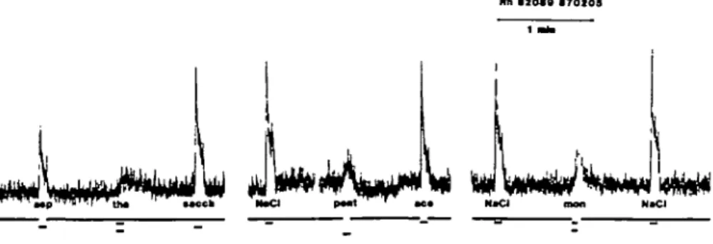 Fig. 2. The summated activity in the chorda tympani proper nerve of a Rhesus monkey recorded during stimulation of the tongue by different sapid solutions