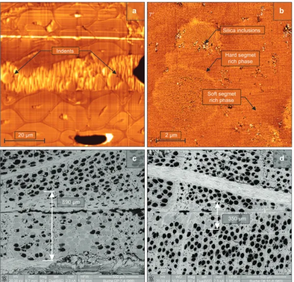 Figure 3 AFM micrographs of formulated adhesive A1: (a) nano-indents along the bond line and (b) dispersed pyrogenic silica inclusions, hard segment and soft segment-rich phases in the polymer matrix