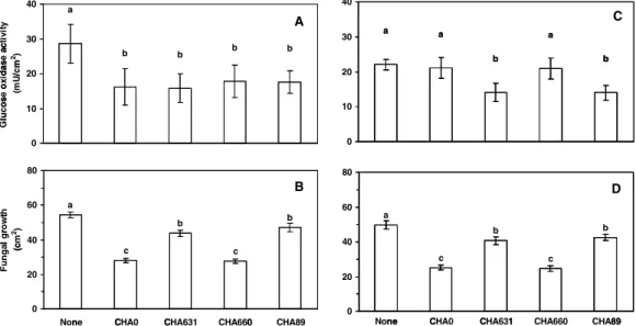 Fig. 1. Expression of the ech42-gox (A) and nag1-gox (C) fusion and growth of T. atroviride P1 derivatives ech42-gox (B) and nag1-gox (D) in presence of P