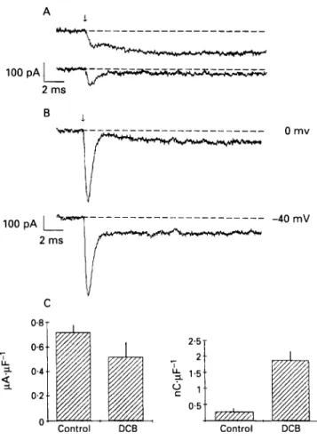 Figure  4  Effects  of  3'.4'-dichlorobenzamil (DCB) on  the  N d C a   current  and  on  lco,,j