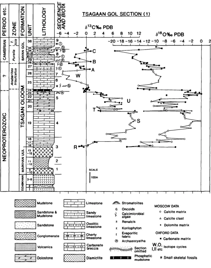 Figure 5. Carbon- and oxygen-isotope stratigraphy of Tsagaan Gol. The suggested positions of carbon isotopic features 'R' to  ' W and 'A' to  ' C are shown