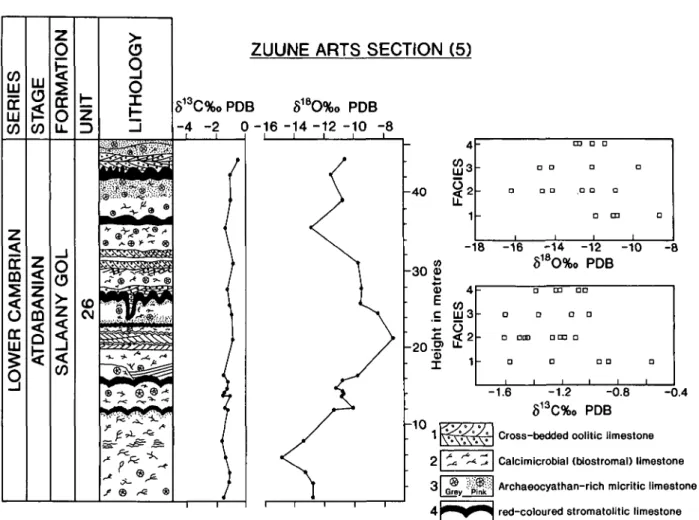 Figure 2. Carbon- and oxygen-isotope stratigraphy of the lower Salaany Gol Formation at Zuune Arts ridge