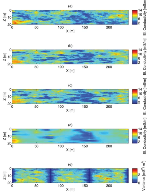 Figure 4. (a) Original ‘true’ high-resolution electrical conductivity field from Fig. 2b