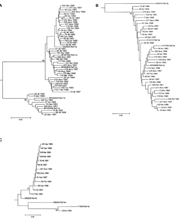 Figure 1. Neighbor-joining tree based on the Tamura-Nei substitution model with a g distribution ( a p 0.40 )