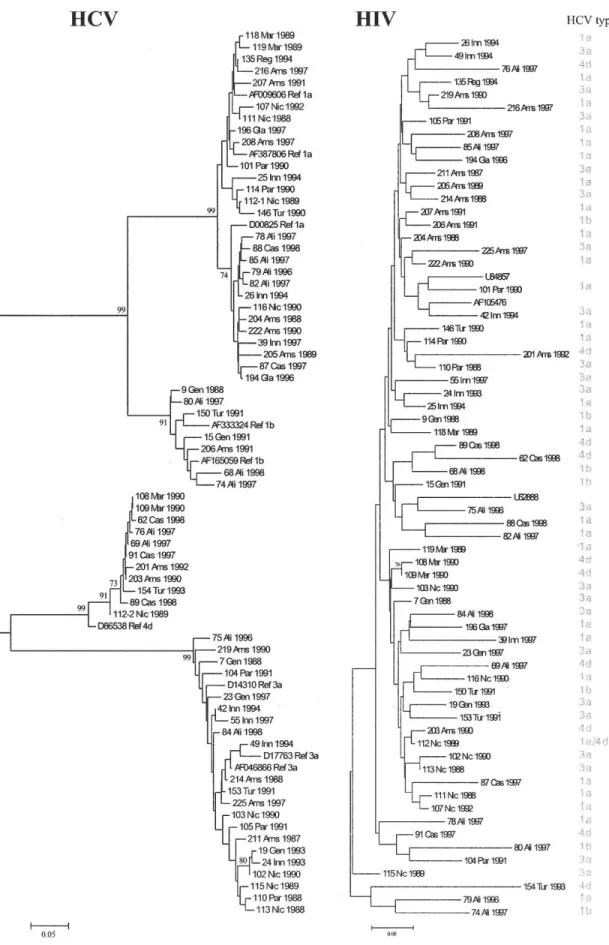 Figure 2. Hepatitis C virus (HCV)/NS5B and HIV/env phylogeny. Neighbor-joining tree based on the Tamura-Nei substitution model with a g distribution ( a p 0.40 for HCV and a p 0.38 for HIV [28, 29])