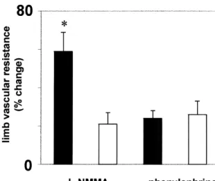Fig. 2. Effects of L -NMMA and phenylephrine infusion on vascular