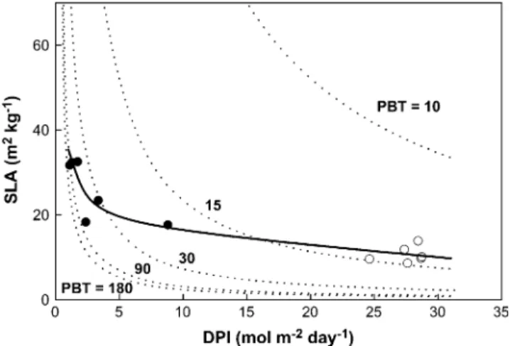 Fig. 7. Payback time curves as a function of the daily photosynthetic photon irradiance (DPI) and SLA of leaves, assuming that all other parameters that affect the carbon economy (construction costs, shape of the response curve of photosynthesis, mass-base