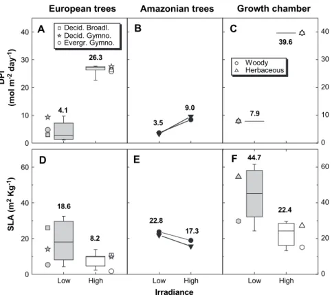 Fig. 2A) and the broad-leaved evergreens (study 2, Fig.