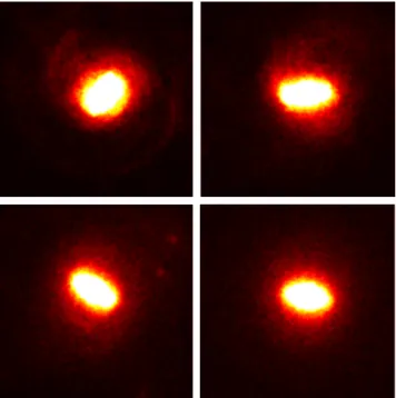 Figure 6. Development of a bar in run A. From top to bottom and from left to right: t = 0.2, 0.3, 0.5, 1.0 Gyr