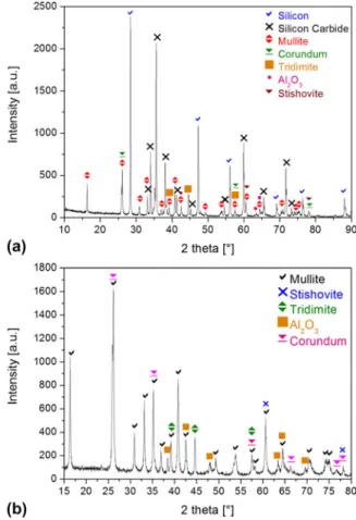 FIG. 6. XRD spectra on the as-produced HHC sample no. 1: (a) the MRC skeleton and (b) of the FRCI.