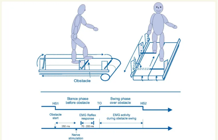 Figure 1 Experimental set up. (A) Schematic experimental setup illustrating a subject on a treadmill stepping over an obstacle with the right leg leading and freely moving arms