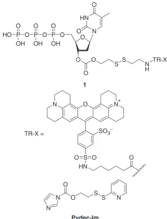 Figure 1. Structures of cleavable ﬂuorescent dNTPs 1 and hetero- hetero-bifunctional cross-linking reagent Pydec-Im.