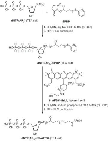 Figure 3. Concept of the binary Sequencing by Synthesis approach: Example for illustrating the base-by-base DNA sequencing method using cleavable ﬂuorescent nucleotide such as those described in Figure 2