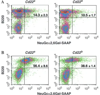 Fig. 4. Higher proportion of B cells bearing unmasked CD22 in Cd22 a mice than in Cd22 b mice