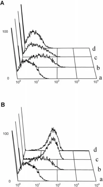 Fig. 3. (A) Shedding of CD44 is induced with crosslinking CD44.