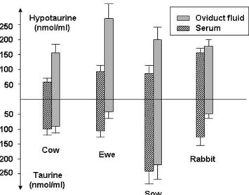 Figure 3 Taurine and hypotaurine concentrations into serum and oviduct fluid.