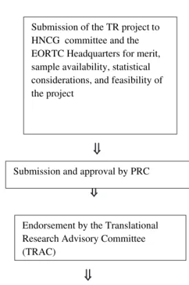 Figure 1. Schema for the translational research program application review. EORTC, European Organisation for Research and Treatment of Cancer; HNCG, Head and Neck Cancer Group; PRC, project review committee; TR, translational research.