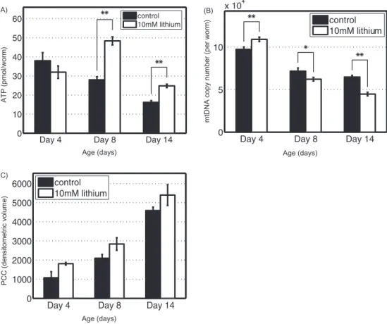 Figure 3. (A) Mean adenosine triphosphate (ATP) levels on Days 4, 8, and 14 for control and lithium chloride (LiCl)-treated worms (**p &lt; .01)