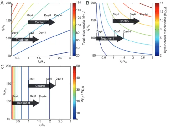 Figure 4A shows that the aging parameter drift corresponds  to a decrease in M T s, , in agreement with our experimental  data showing decreasing mtDNA copy number with age