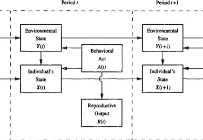 Figure 1 is a schematic representation of the relationships between an individual organism's current environment and its behavioral response to that environment