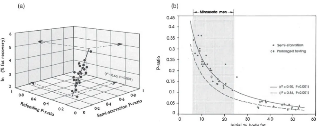 Fig. 3. Relation between suppressed thermogenesis, assessed as change in BMR adjusted for changes in fat-free mass (FFM) and fat mass, and the state of depletion of body fat stores, during weight loss (S12, week 12 of semi-starvation) and during weight rec