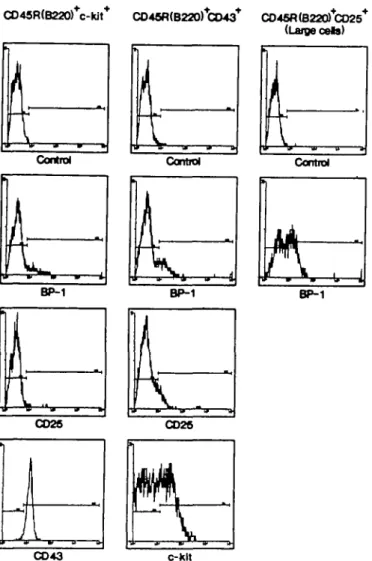Fig. 3. FACS analysis of intracellular expression of TdT, Xj and p in sorted CD45R(B220) + /c-/tf +  , CD45R(B220) + /CD43\ large CD45R (B220) + /CD25 +  and small CD45R(B220) + /CD25 +  precursor B cells derived from 4 week old BALB/c mice bone marrow
