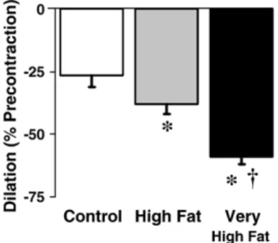 Fig. 4. Dilator responses to reactive oxygen species (ROS/ U OH) in vascular rings precontracted with phenylephrine (to 50% of KCl)