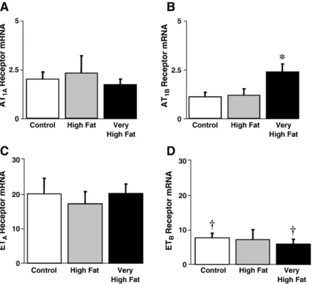 Fig. 5. Effects of dietary fat content on relative Ang II receptor mRNA expression levels in aorta