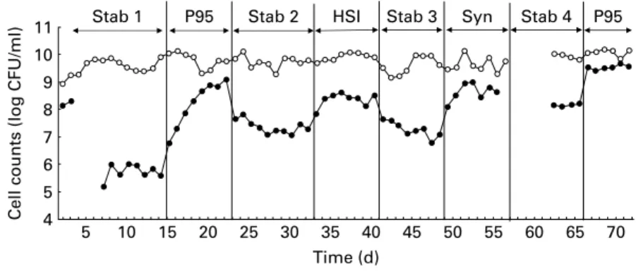 Fig. 2. Changes in total anaerobes and bifidobacteria concentrations in effluent fermentation samples during the continuous fermentation