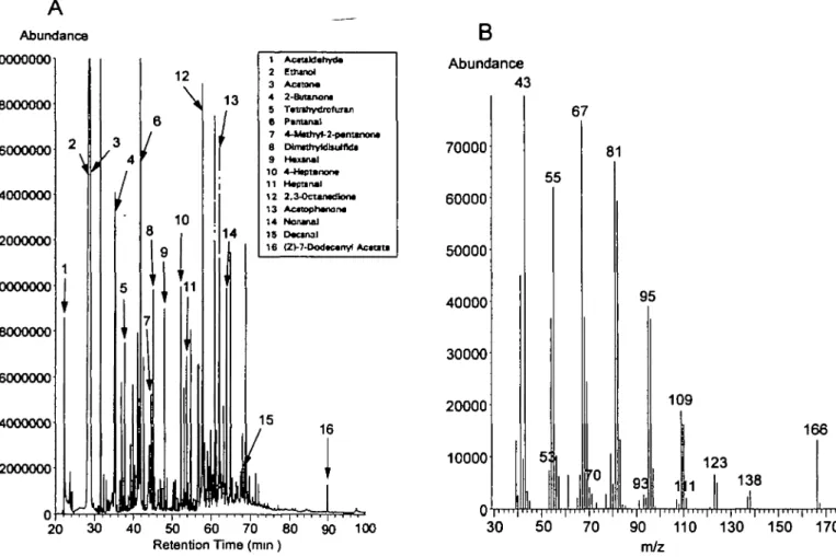 Figure 7 (A) GC-MS total ion chromatogram of the headspace of female pre-ovulatory unne, assessed bioactive by responses of male Asian elephants Frfteen relatively common volatiles in female urinary headspace are indicated, these ranged from  - 5 0 to 500 