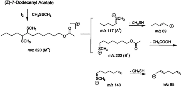 Figure 3 The technique of dimethyl disulfide (DMDS) adducts ofZ7-12 Ac, demonstrating degradation pathways and denvatization of an olefin with DMDS for determining position of the double bond