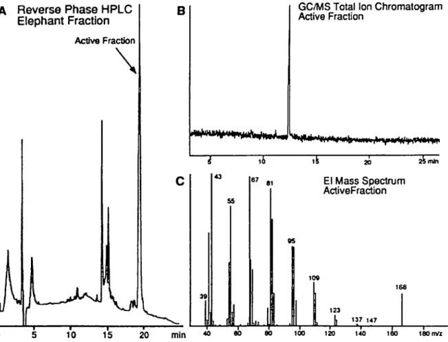 Figure 4 (A) Reverse-phase high-performance liquid chromatography (HPLC) using 50% acetonitnle/water as an initial solvent A linear gradient elution to 100% acetonttnle was employed in the final purification of the elephant pheromone which was contained in