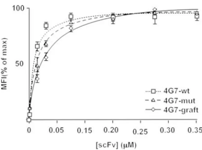 Fig. 8. Determination of equilibrium binding constants of 4G7 variants on CD19 bearing cells