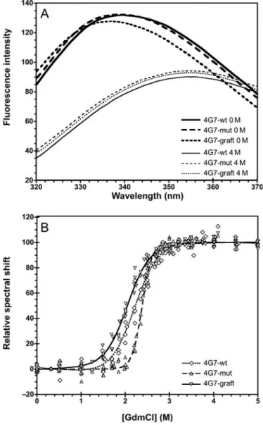 Fig. 5. GdmCl equilibrium denaturation of the 4G7 variants. (A) Fluorescence spectra of native and unfolded (in 4 M GdmCl) 4G7 variants.