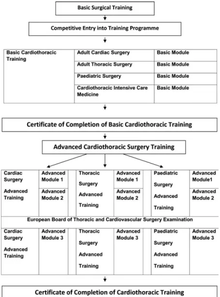 Figure 1: The proposed programme has been designed assuming that cardiac and thoracic surgery are integrated into one specialty for the purpose of training, accreditation and practice, but it could be adapted to any other situation such as cardiovascular s