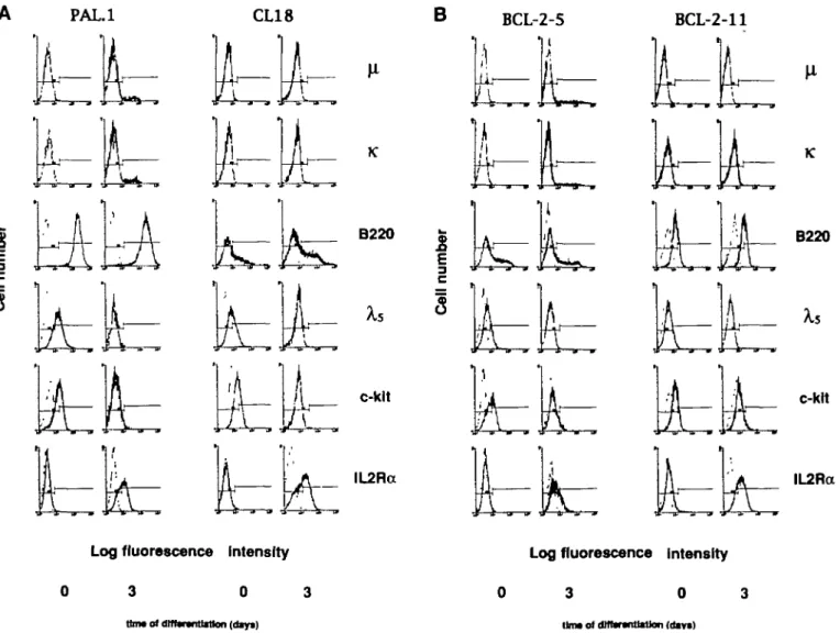 Fig. 1. Expression of a set of B cell differentiation markers (black histograms) on tong-term proliferating pre-B cell clones PAL.1 (left) and CL18 (right) from normal BDF, mice (a) and of pre-B cell Bne BCL-2-5 (left) and done BCL-2-11 (right) from bd-2-i