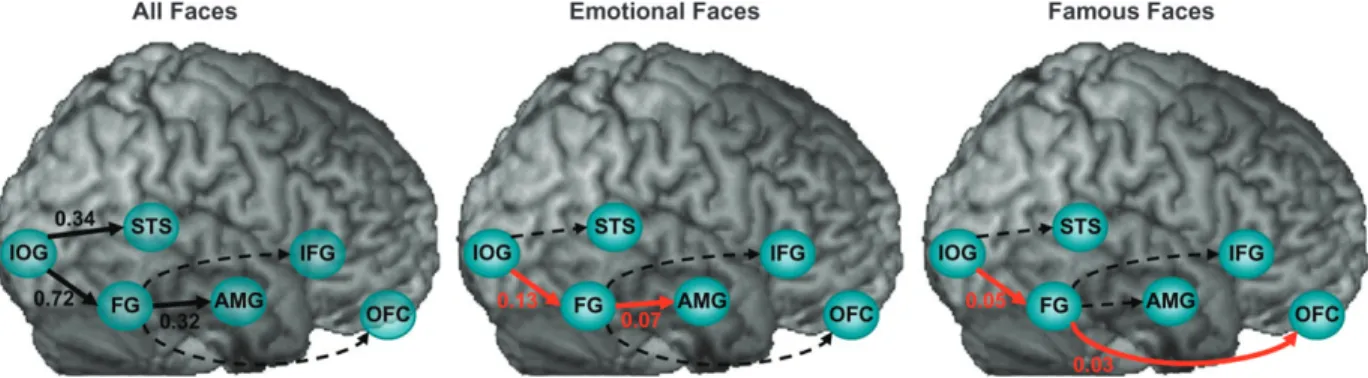 Figure 3. Alterations in effective connectivity within the core and the extended systems induced by all faces, emotional faces, and famous faces