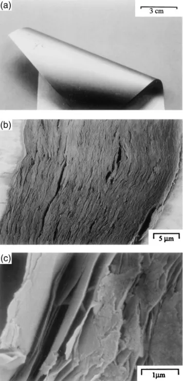 FIG. 2. Images of K – Bu vermiculite film: (a) typical flexible film, ( b) typical transverse section, and (c) rupture surface.