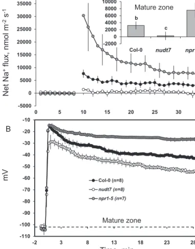 Fig. 5.  Transient (A) Na +  fluxes and (B) membrane potential dynamics  measured at the mature root zone of 4- to 5-day-old Arabidopsis thaliana  seedlings exposed to 100 mM salt stress