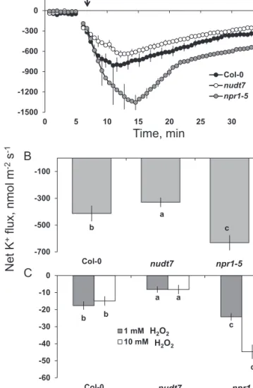 Fig. 9.  K +  fluxes in response to 1 mM Cu-ascorbate. (A) Transient K +  fluxes  in response to 1 mM Cu-ascorbate applied after 5 min