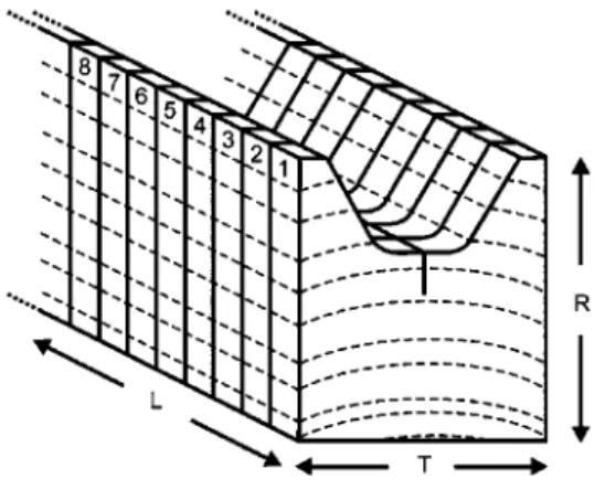 Figure 1 Principle of a series composition (in this example, ori- ori-ented in the TR crack propagation direction): eight adjacent specimens were sawn from each wood slat.