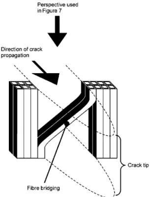 Figure 6 Principle of fibre bridging if the crack is oriented in the RT or TR crack propagation system.