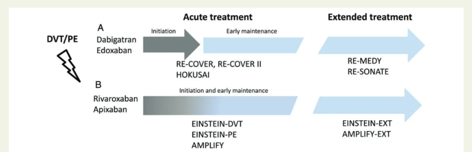 Figure 2 Summary of the main Phase III trials regarding acute and extended treatment of venous thrombo-embolism