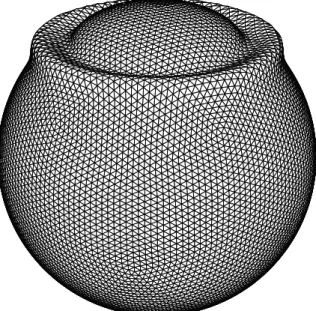 Figure 2. Snapshot of wave propagation on the spherical membrane for a source at the North Pole