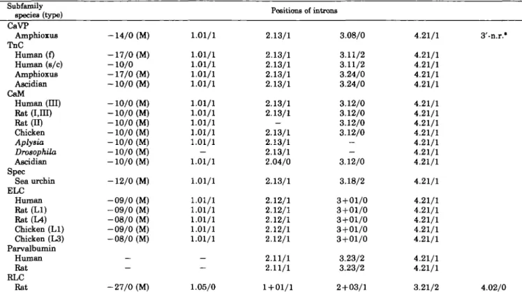 TABLE II. The intron positions of TnC snperfamily genes (based largely on Refs. 17 and 20).